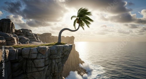 Lone palm tree atop a cliffside overlooking a vast ocean under a dramatic cloudy sky