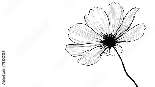 Elegant Flower Drawing with Flowers Word Vector Illustration