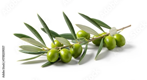 Wallpaper Mural Vibrant fresh green olives clustered on a delicate branch with lush leaves, perfect for culinary inspiration and Mediterranean themes, showcasing natural health and flavor Torontodigital.ca