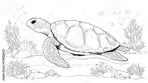 Undersea Cute Turtle Coloring Page for Kids Vector Illustration