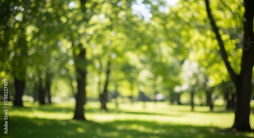 Fototapeta Naklejka Na Ścianę i Meble -  Abstract Soft Focus Green Trees and Sunlight Landscape Background