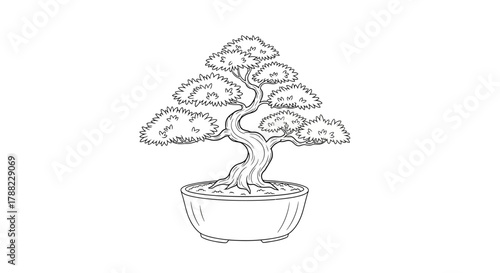 Stylized miniature bonsai tree in pot detailed line art drawing serene indoor plant cultivation