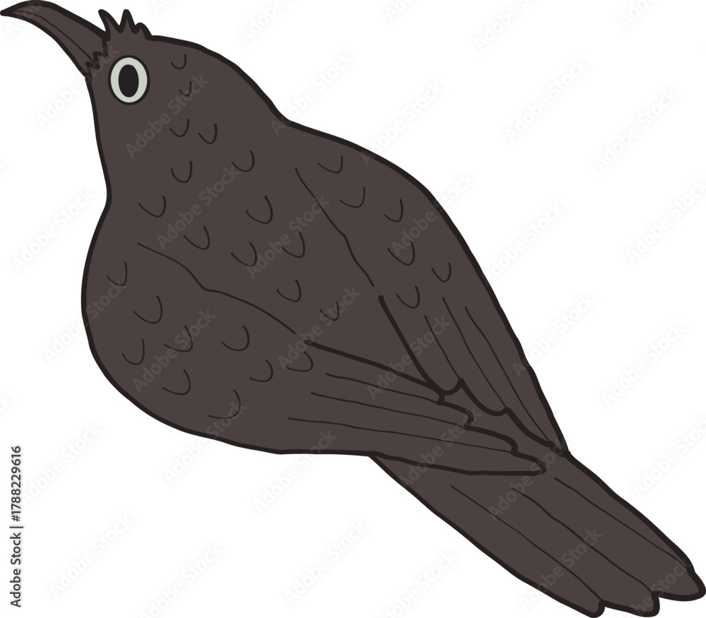 Fototapeta premium Illustration of a Black Bird Looking Up