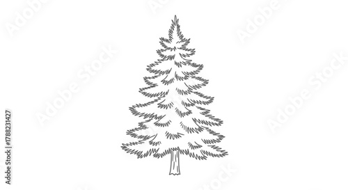 Elegant etching of a coniferous tree silhouette ideal for seasonal design and print projects