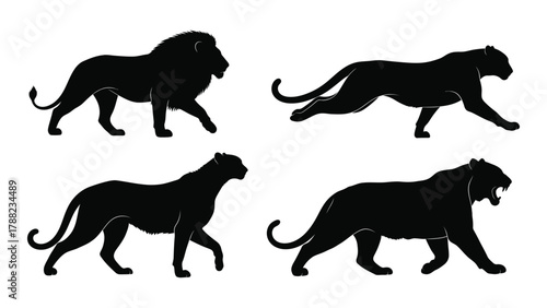 Big cat silhouettes collection isolated on white background, Vector