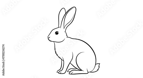Elegant line drawing of a rabbit with long ears, a minimalist animal illustration perfectly