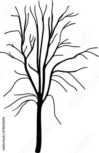 Black silhouette of tree with bare branches without leaves isolated on white background