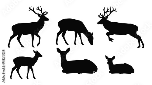 Deer silhouettes collection isolated on white background, Vector