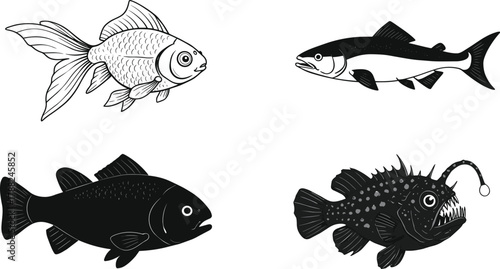 Fish species, aquatic animal, marine life, silhouette set, nature icon, cad drawing flat vector illustration