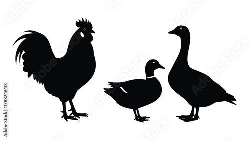 Farm birds silhouettes isolated on white background, Vector