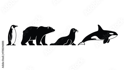 Polar and marine animal silhouettes isolated on white background, Vector