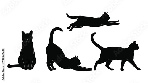 Black cat silhouettes set isolated on white background, Vector