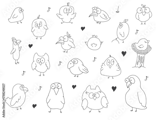 Cute birds collection, cartoon birds set. Vector illustration