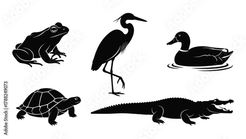 Aquatic and wetland animal silhouettes collection isolated on white background, Vector
