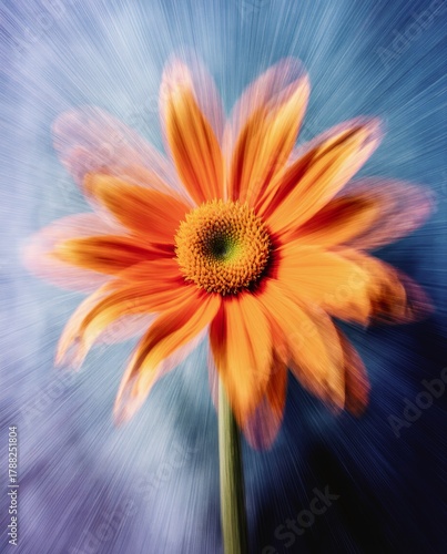 A vivid orange bloom captured in macro, showing bright petals and a textured center against a blue, dynamic radial blur backdrop
