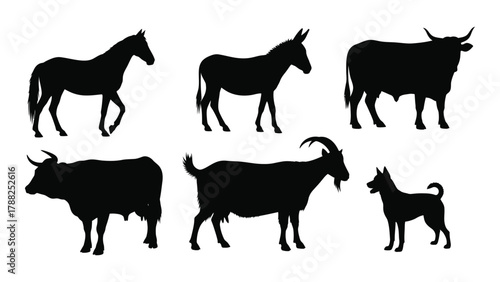 Domestic animal silhouettes collection isolated on white background, Vector