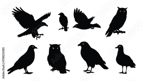 Diverse bird silhouettes collection isolated on white background, Vector