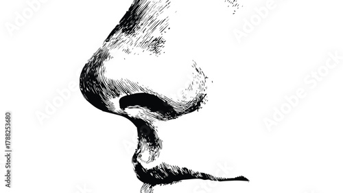 Detailed Black and White Vector Drawing of Nose and Mouth for Professional Use