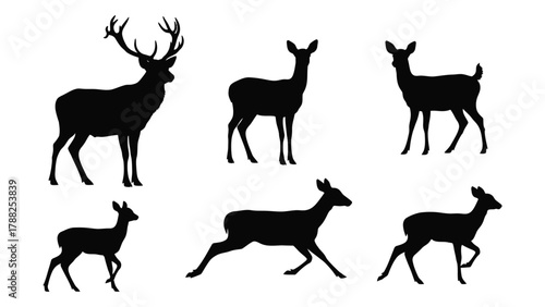 Various deer silhouettes collection isolated on white background, Vector