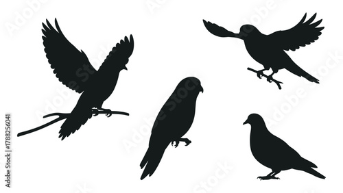Diverse bird silhouettes set isolated on white background, Vector
