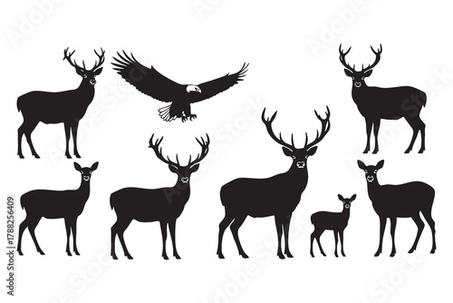 Black silhouettes of deer and a bald eagle against a white background stag fawn