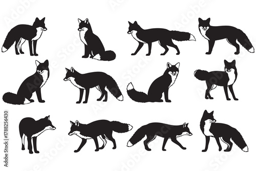 Collection of black and white fox silhouettes in various poses on a white background animal wildlife