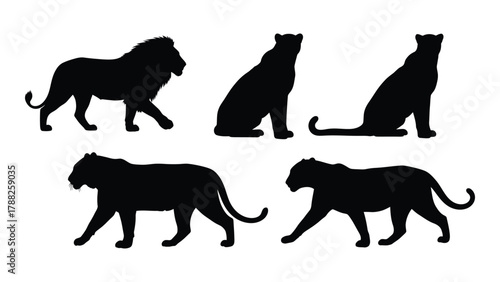 Big cat silhouettes set isolated on white background, Vector