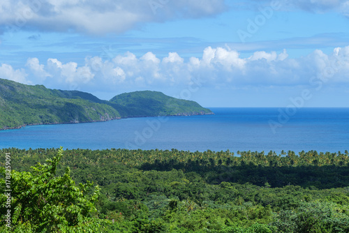 Fototapeta Naklejka Na Ścianę i Meble -  Playa Rincón , Dominican Republic, Samana. Beach  photo