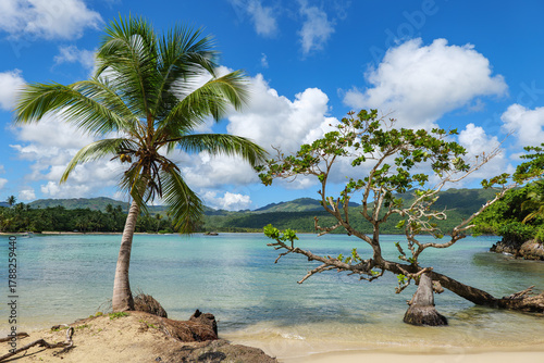 Fototapeta Naklejka Na Ścianę i Meble -  Playa Rincón , Dominican Republic, Samana. Beach  photo