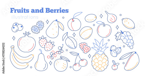 Hand drawn fruits and berries set. Vector collection of various fresh blueberry, strawberry, cherry, grapefruit, mango, lemon and other. Sketch doodle style illustration.
