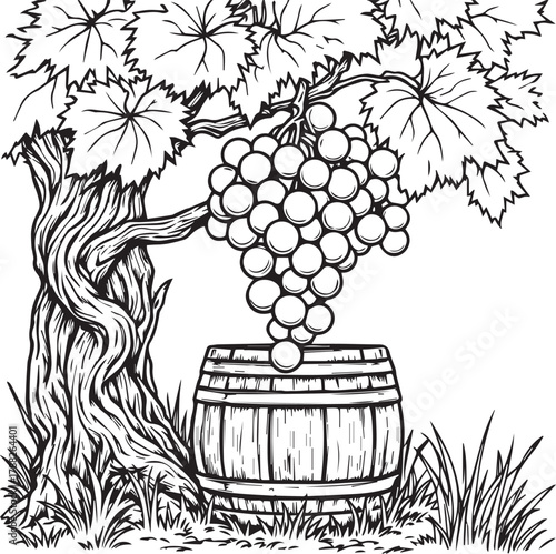 Grapevine with hanging grape cluster and wooden barrel illustrated in black and white vintage style
