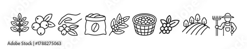 Outline icons of coffee plant, beans, farming tools, and farmer
