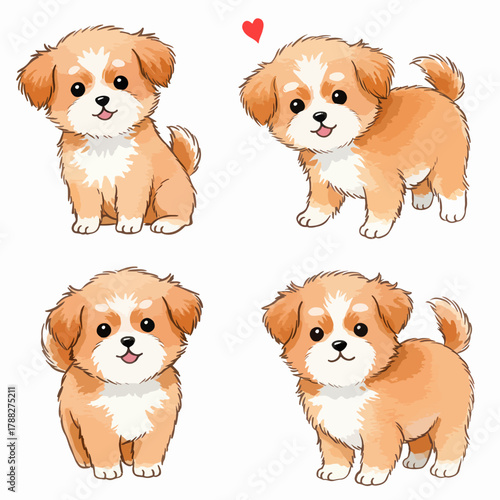 Set pets a chihuahua puppy and a kitten sitting together on a white studio background