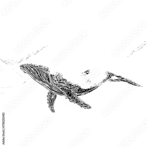Detailed black and white illustration of a humpback whale swimming gracefully in the ocean water