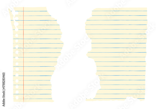 Torn notebook paper sheets.