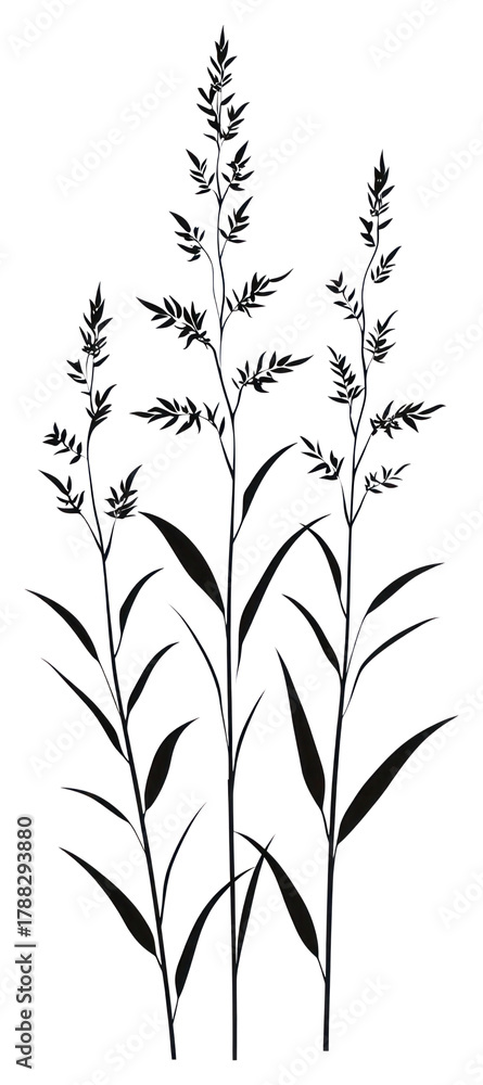 Naklejka premium PNG Wild flower Ragweed illustration minimalist design.