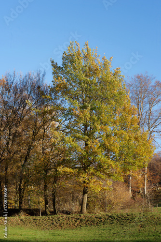 Freiburg im Breisgau - Schönberg - Wanderweg