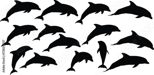 Dolphin silhouette vector illustration showing multiple swimming and jumping poses, marine animal design concept for ocean wildlife, aquatic life, and sea nature themes