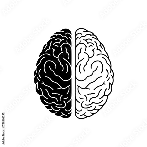 Striking graphic illustration of the human brain, visually dissecting its left and right hemispheres to represent the duality of logical processing and creative thought