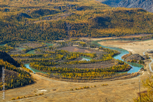 Breathtaking view of Altai region in autumn, featuring a winding river surrounded by vibrant foliage. Experience calmness and natural beauty in this tranquil landscape. Russia.