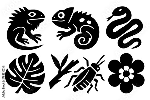 Tropical Reptile Icons. Tropical Reptiles Icons silhouette icon set: iguana, chameleon, frog, snake, leaf, branch, insect, flower.