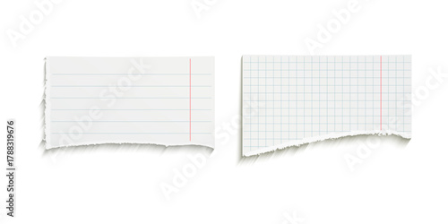 Piece of lined notebook paper with torn top and bottom edges vector illustration isolated on white background, realistic stationery mockup for notes, scrapbooks, reminders or design layouts.
