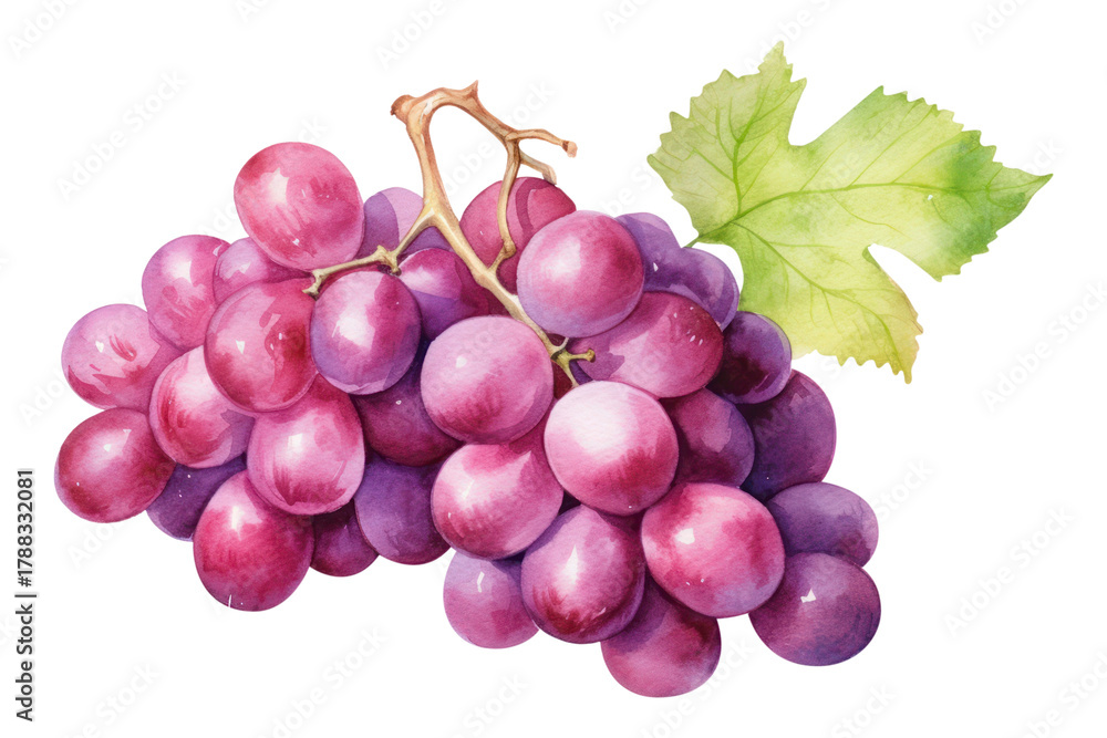 Fototapeta premium PNG Grapes fruit plant food.