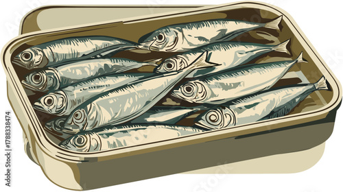 Vector illustration of an opened tin full of sardines