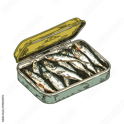 Vector illustration of an opened tin full of sardines