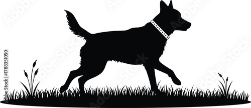 Black silhouette of dog walking on grass wearing collar, domestic pet animal illustration symbolizing nature, obedience, and companionship concept