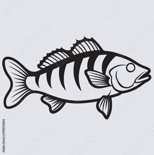 smallmouth fish line art silhouette vector art illustration, vector illustration of a fish