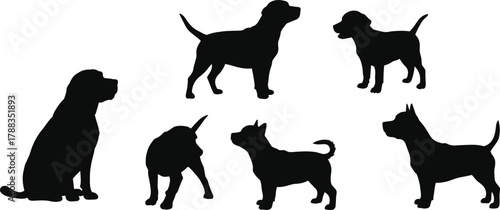 Silhouette of multiple dogs standing and sitting together, animal friendship, pet group, loyalty, outdoor lifestyle, domestic animal companionship illustration