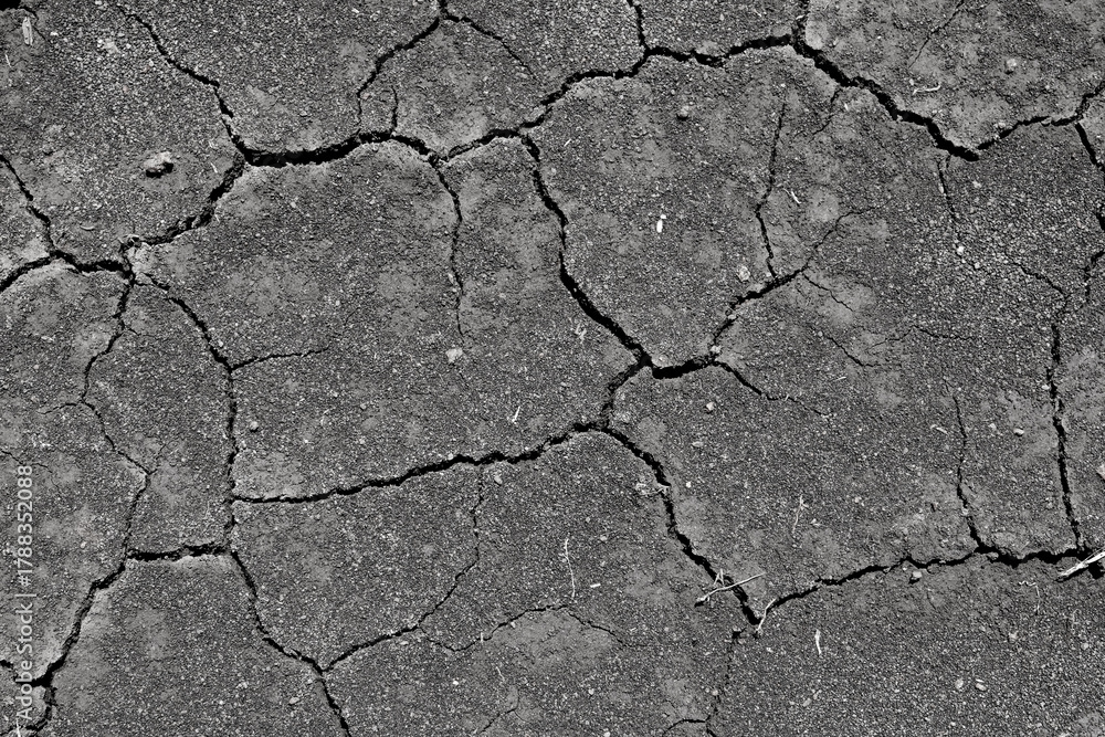 Fototapeta premium Wall texture soil dry crack pattern of drought lack of water of nature brown old broken background.