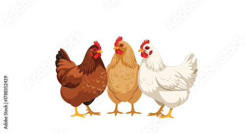 Three colorful hens stand together side by side, featuring brown, tan, and white plumage against a clean white background.